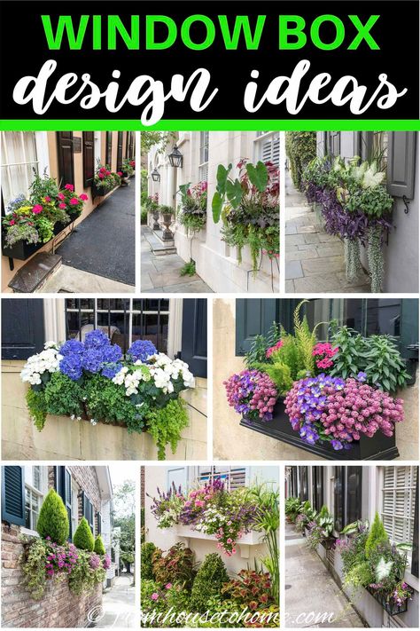 Window Box Design, Container Gardening Design, Container Gardening Herbs, Container Gardening Full Sun, Pretty Landscaping, Green Mountain Boxwood, Flower Box Ideas, Box Design Ideas, Impatiens Plant