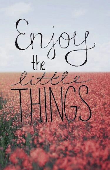 Small Things in Life - Elegantly Dressed and Stylish -Fashion Over 50 Lev Livet, Now Quotes, Life Is Too Short Quotes, Fina Ord, Enjoy The Little Things, Socrates, Wonderful Words, The Little Things, Inspiring Quotes About Life