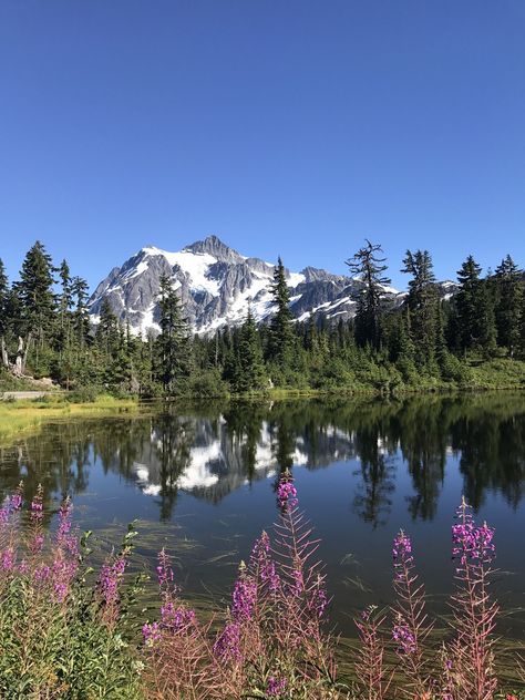 Mount Baker Highway to Artist Point Mount Baker Washington, Washington Tattoo, Tattoos Inspo, Mount Baker, Mountain Scenery, Bellingham Wa, Washington Usa, San Juan Islands, Mountain Elopement