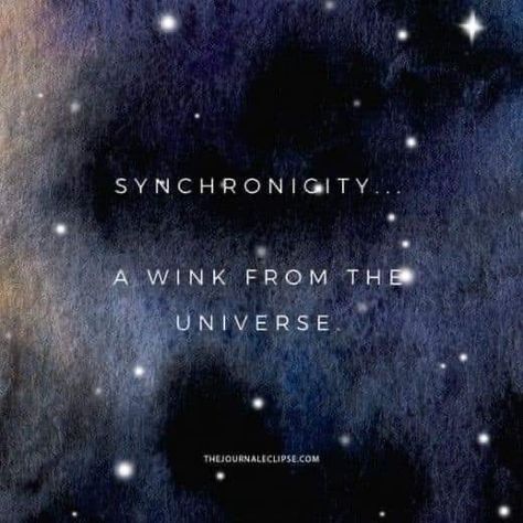 Messages From The Universe, The Universe Has Your Back Quotes, Signs From The Universe Quotes, Synchronicity Quotes, The Universe Quotes, Thoughts Are Things, Universe Quotes Spirituality, Chrysanthemum Bouquet, Intuition Quotes