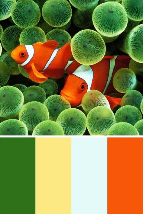 color palette - underwater particular Underwater Color Palette, Underwater Palette, Neymar Barcelona, Pantone Colour Palettes, Underwater Fish, Color Schemes Colour Palettes, Sea Colour, Color Chip, Colour Inspiration