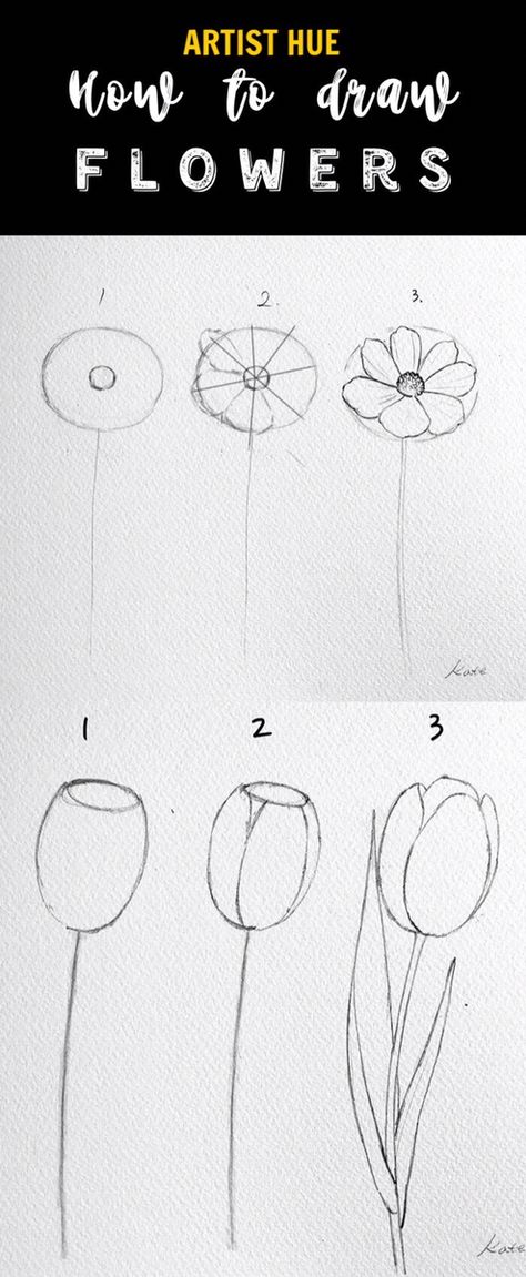 Draw Flowers Watercolor, Flowers Step By Step, How To Draw Flowers, Beginner Sketches, Pencil Drawings Of Flowers, Pencil Drawings For Beginners, Draw Flowers, Easy Drawings For Beginners, Flower Drawing Tutorials