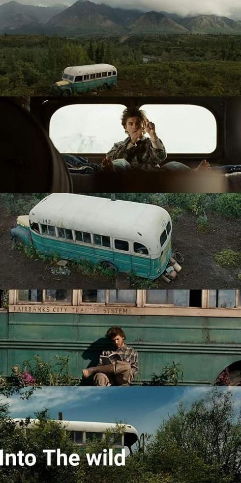 Into The Wild Movie, Cinematography Composition, Cinematography Lighting, Wild Movie, Filmmaking Inspiration, Filmmaking Cinematography, Film Photography Tips, Film Pictures, Fairytale Photography