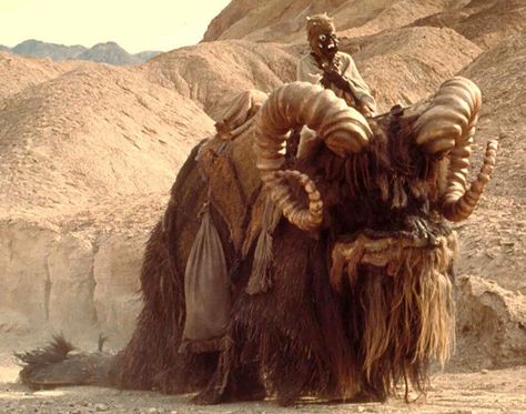 Tusken Raider and Bantha Bantha Star Wars, Tusken Raider, Drawing Stars, Star Wars Episode Iv, Classic Star Wars, Star Wars 1977, The Phantom Menace, Alien Races, Star Wars Poster