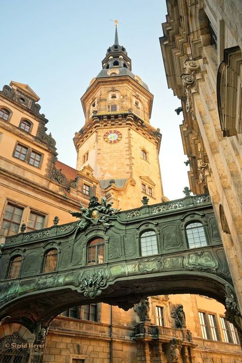 Beaux Arts Architecture, Germany Dresden, Germany Architecture, Dresden Germany, Architecture Drawing Art, Chateau France, Baroque Architecture, Saxony, Classical Architecture