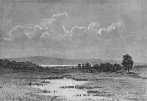 Ivan Shishkin, Drawing Trees, Tiny Boat, Russian Landscape, Drawing Nature, Academic Drawing, Landscape Sketch, Countryside Landscape, Sketchbook Drawings