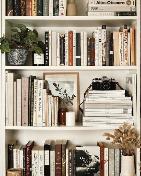 Lots Of Books, Bookshelf Styling, Home Library, Book Shelf, Interior Inspo, My New Room, Cheap Home Decor, 인테리어 디자인, House Inspiration