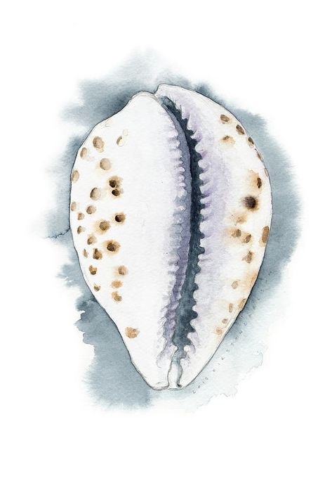 Seashell Illustration Drawing, Abstract Watercolor Tutorial, Shell Drawing, Seashell Painting, Diy Watercolor Painting, Watercolor Ocean, Watercolor Art Lessons, Watercolor Inspiration, Water Painting