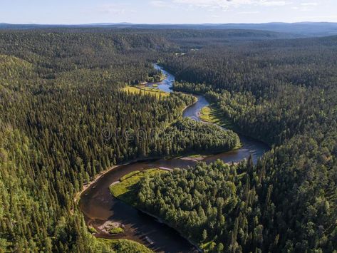 Taiga Forest, Bog Body, Sunny Summer Day, Agricultural Land, Boreal Forest, Camping Area, Beautiful Forest, Forest Fire, Ancient Cultures