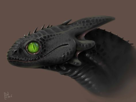 Httyd Realistic Dragons, Httyd Realistic, Realistic How To Train Your Dragon, Night Fury Realistic, Realistic Toothless Dragon, Realistic Toothless, Httyd Toothless, Night Fury Dragon, Toothless Dragon