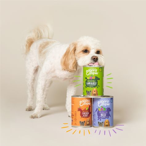 Pet Advertising, Pet Food Packaging, Paw Party, Wow Photo, Canned Dog Food, Wet Dog, Dog Food Brands, Dog Branding, Pet Shampoo