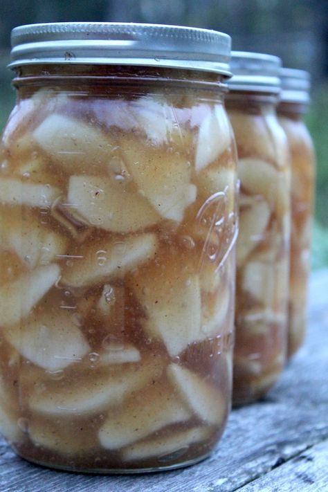 Canning Apple Pie Filling — Practical Self Reliance Apple Recipes For Canning, Canning Fruit Recipes, Canning Apple Pie Filling, Apple Pie Filling Recipe, Canning Apples, Apple Pie Filling Recipes, Pie Fillings, Pressure Canning Recipes, Homemade Apple Pie Filling