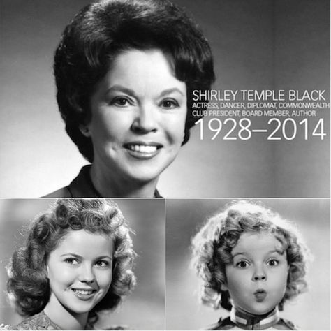 Temple Movie, Temple Grandin, Shirley Temple Black, Shirley Maclaine, Brown Hair Brown Eyes, Famous Black, Old Hollywood Stars, Shirley Temple, Tv Actors