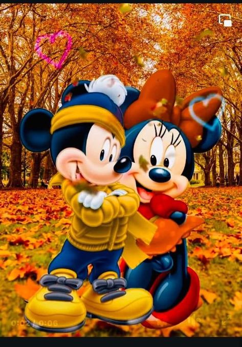 Walt Disney Cartoons, Disney Best Friends, Cute Disney Characters, Mickey Mouse Images, Minnie Mouse Images, Minnie Mouse Pictures, Disney Characters Wallpaper, Mickey Mouse Pictures, Mouse Cartoon