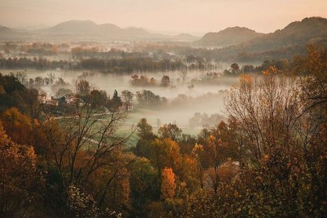 1940s England, Father Nature, Dreamy Scenery, Movie Vibes, Fall Movie, Rockstar Gf, Nature Scenery, Over The Garden Wall, Ring Doorbell