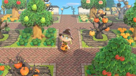 ACNH | Ideas by BlondiBear - Want To Add a Fall Flair To Your Orchard?.....Try Color Coordinating Your Pumpkins w/ Your Fruit Trees:🍐》Green 🍑》White 🍎》Yellow 🍒》Green 🍊》Orange & Yellow 🌳🍂 Acnh Spooky, Orange Ideas, Acnh Ideas, Fall Ideas, Fruit Trees, Spooky Halloween, Green Orange, Orange Yellow, Green And Orange