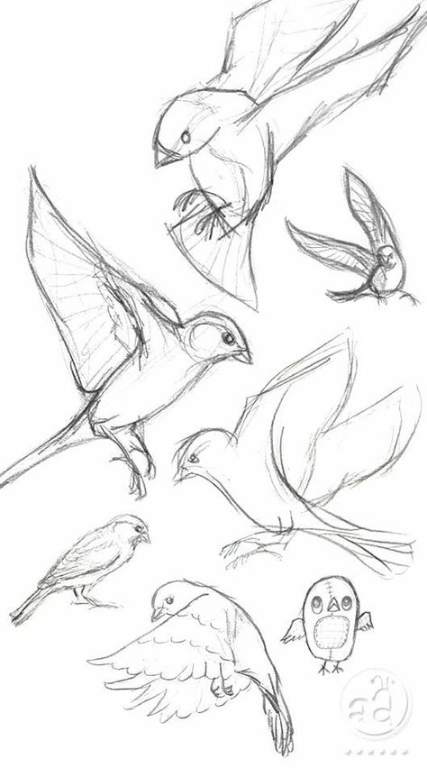 Sketch Drawing Ideas, Drawing Ideas Inspiration, Animal Sketch, Easy Animals, Mermaid Drawings, Building Illustration, Sketchbook Drawings, Animal Sketches, Sketches Easy