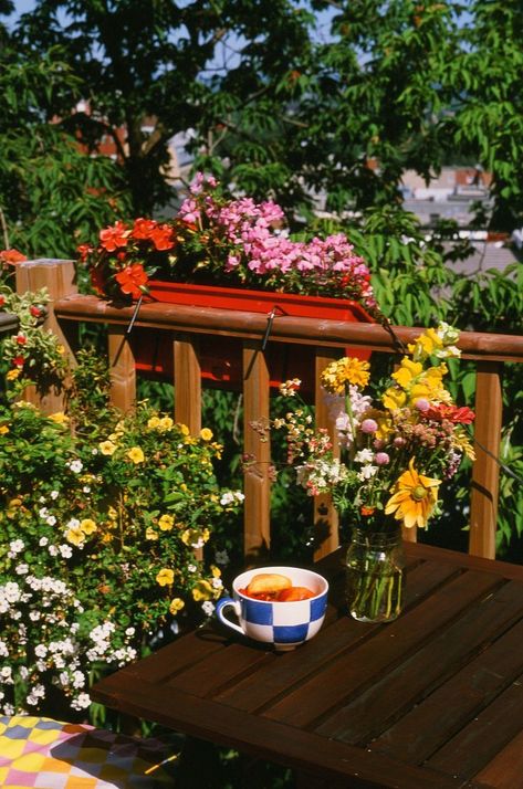 Balcony With Flowers, Minolta Srt 101, 35 Mm Film, Flower Picture, Film Stock, 35mm Film, Flower Pictures, Film Camera, Peaches