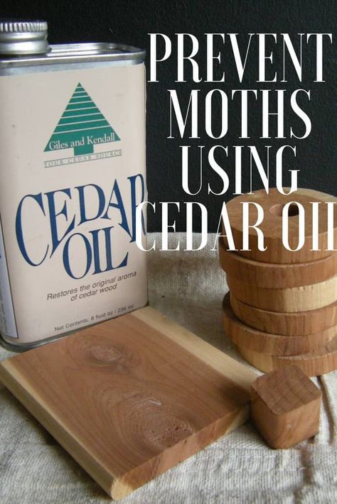 How To Prevent Moths In Closets, Moths In Closet, Moth Holes In Clothes, Getting Rid Of Moths, Natural Household Products, Restauration Hardware, Diy Household Cleaners, Moth Repellent, Cedar Oil