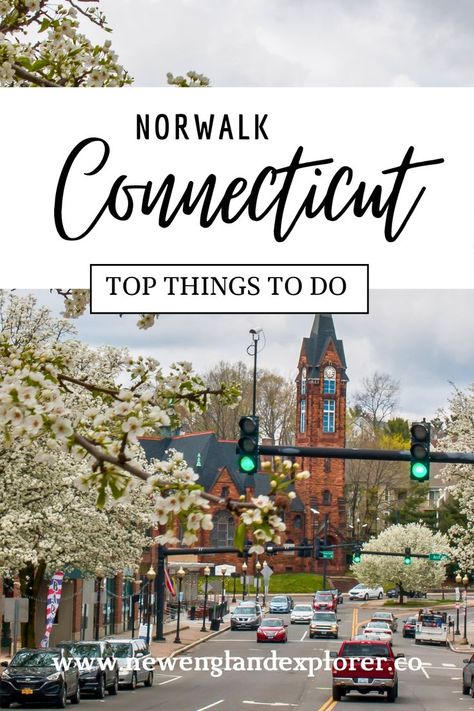 Downtown Norwalk Connecticut with the heading Top Things to Do in Norwalk Connecticut Beach Aquarium, Norwalk Connecticut, Small City, A Town, Vacation Trips, East Coast, Connecticut, Places Ive Been, Places To See