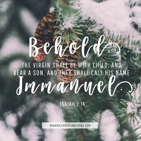 Isaiah 7:14 Behold, the virgin shall be with child, and bear a son, and they shall call his name Immanuel. Christmas Verses, Christmas Scripture, Christmas Bible Verses, Quotes Christmas, Christmas Bible, Christmas Planning, Bible Reading Plan, Super Quotes, Ideas Quotes