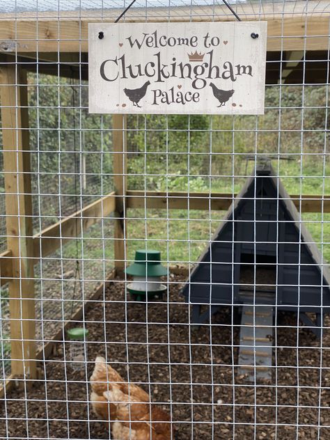 Cluckingham Palace Sign, Hen House Signs, Duck Coop Signs, Chicken Coop Inside Ideas, Chicken Coop Signs Ideas, Backyard Chicken Coop Diy, Pretty Chickens, Cluckingham Palace, Duck Pen