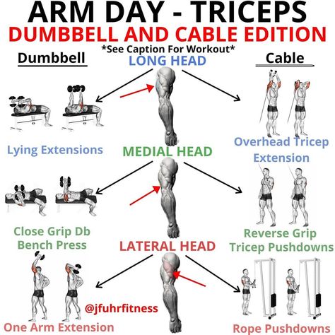 Tricep Workout Gym, Tricep Workout Women, Cable Machine Workout, Push Day Workout, Arm Day Workout, Chest And Tricep Workout, Bicep And Tricep Workout, Chest Workout For Men, Shoulders Workout