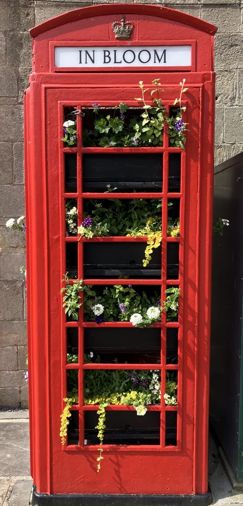 Red Telephone Box, Fall Ball, Red Telephone, British Things, Telephone Box, Old Pub, Phone Box, Latte Art, Some Pictures