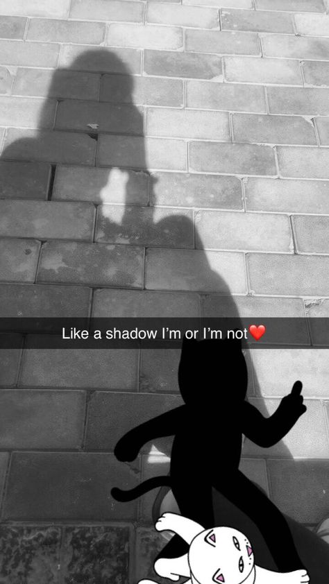 Caption For Shadow Pic, Shadow Snap, Shadow Pics, Bff Images, Shadow Pic, Funny Snapchat Pictures, Health Facts Fitness, Funny Snapchat, Happy Birthday Best Friend Quotes