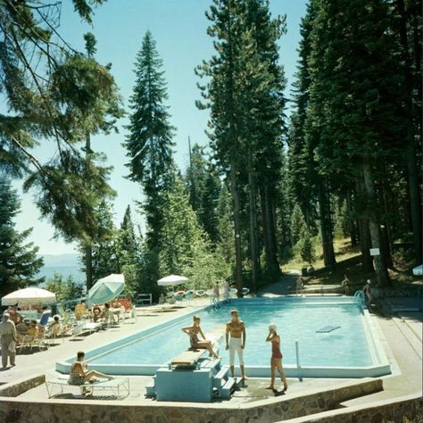 Lindsay Core, Slim Aarons Pool, Cherry Butter, Slim Aaron, Slim Aarons Photography, Pool Pic, Slim Aarons Poolside, Foto Muro Collage, Poolside Glamour