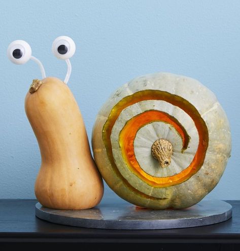 Snail Pumpkin, Easy Carving Ideas, Awesome Pumpkin Carvings, Funny Pumpkin Carvings, Unique Pumpkin Carving Ideas, Cute Pumpkin Carving, Amazing Pumpkin Carving, Creative Pumpkin Carving, Easy Diy Halloween Decorations