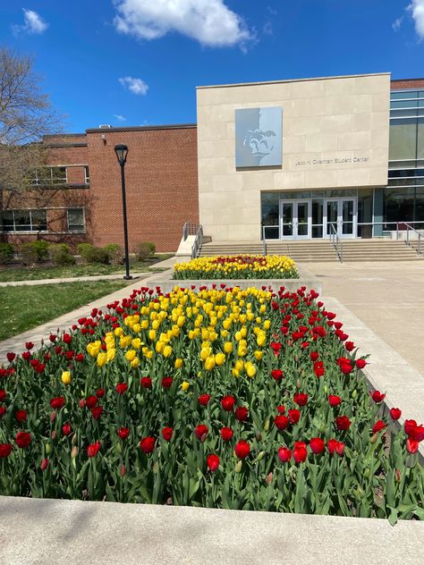 Pitt State Gorillas, Vision Bored, Aesthetic College, College Aesthetic, Dream School, Flowers Aesthetic, State University, Pittsburgh, Kansas