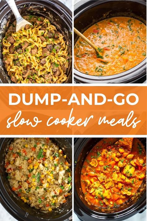 Healthy Crockpot Recipes {Dump Dinners} - The Girl on Bloor Can Dump Soup, Chicken Dump Meals Crock Pot, Slow Cooker Dump Dinners, Crock Pot Dump Meals Healthy, Slow Cooker Recipes Dump And Go, Dump And Go Crockpot Dinners Freezer, Slow Cooker Recipes Freezer Meals, Crockpot Recipes Dump, Slow Cooker Dump Recipes