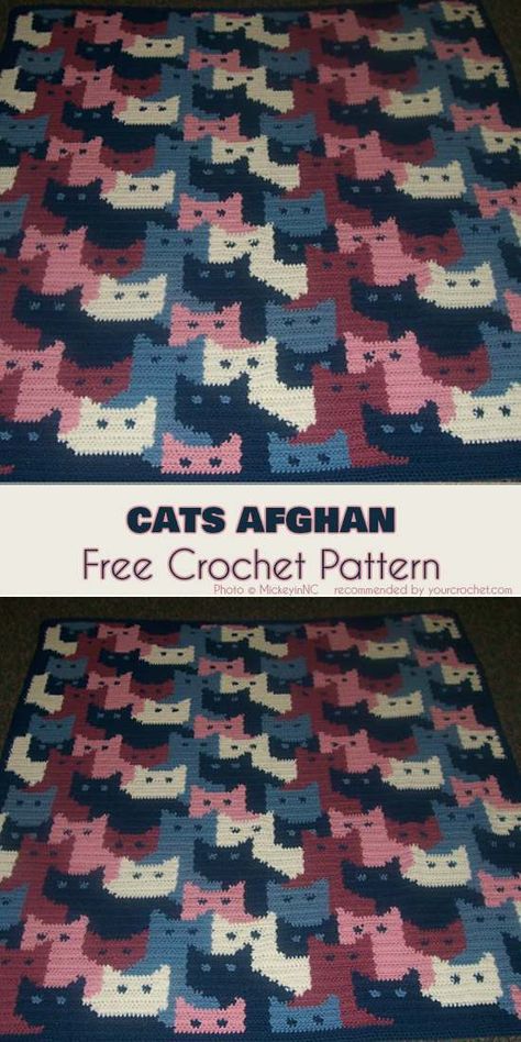 Chats Afghan Crochet gratuit | Votre Crochet Cats Afghan, Cat Afghan, Kat Haken, Chat Crochet, Crochet Mignon, Crochet Cat Pattern, Crochet Simple, Haken Baby, Afghan Patterns