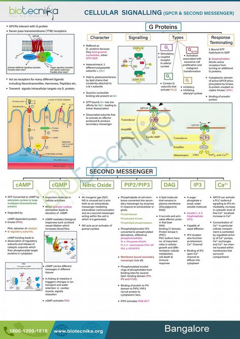 Microbiology Study Tips, Microbiology Study Cheat Sheets, Cell Signaling, Microbiology Study, Medical Images, Synthetic Biology, Computational Biology, Biology Facts, Study Flashcards