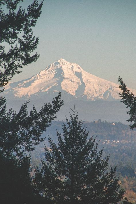 Mt Hood, Nature Aesthetic, Pretty Places, Bushcraft, Portland Oregon, Pretty Pictures, Beautiful World, Wonders Of The World, The Great Outdoors