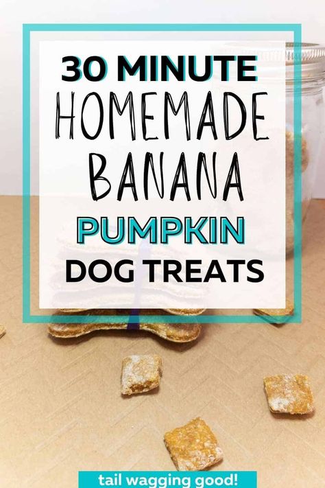 Easy to make Homemade Banana Pumpkin Dog Treats. Frozen Dog Treat Molds, Pumpkin Banana Dog Treats, Banana Dog Treat Recipe, Banana Dog Treats, Dog Treats Recipe, Treat Business, Banana Treats, Dog Treat Recipe, Easy Dog Treat Recipes