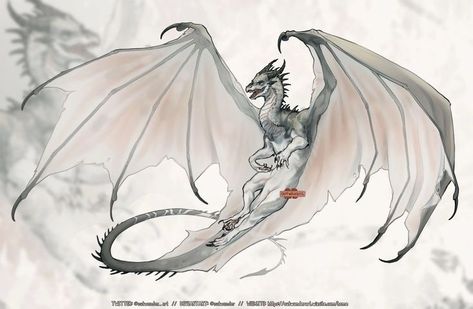 Red Dragon Concept Art, Dragon Art Flying, Amphitere Dragon, Dragon Tattoo Drawing, Dragon Poses, Dragon Anatomy, Dragon Flying, Dragons Crown, Dragon Sketch