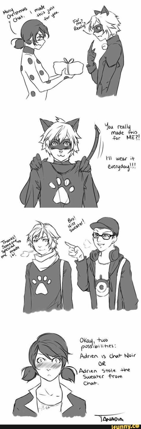 Ladybug | Chat noir | Marinette | Adrien | Miraculous Miraculous Ladybug Chat Noir, Cat God, Photo Manga, Adrien Miraculous, Ladybug Und Cat Noir, Marinette Ladybug, Cat Puns, Ladybug Art, Miraculous Ladybug Memes