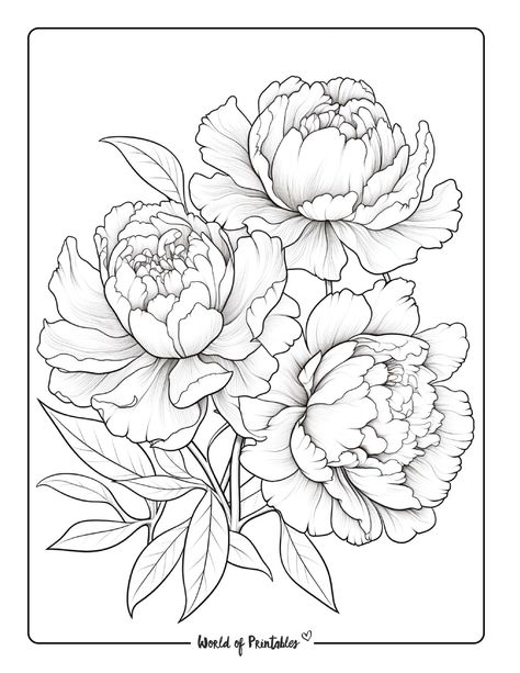 230 Best Flower Coloring Pages For Kids & Adults Sunflower Coloring Page, Poppy Flower Drawing, Sunflower Coloring, Kawaii Coloring Book, Poppy Coloring Page, Flower Coloring Sheets, Sunflower Coloring Pages, Printable Flower Coloring Pages, Flower Line Drawings