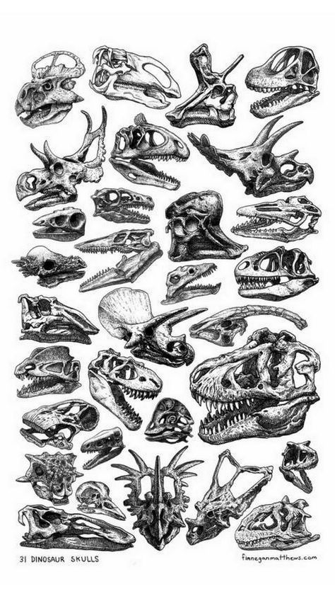 Animal Skull Wallpaper, Skull Wallpapers, Armband Tattoos, Dark And Mysterious, Animal Skull, Skull Wallpaper, Celebrity Tattoos, Armband Tattoo, Dinosaurs