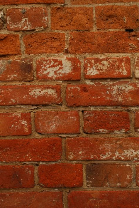 #кирпич#brick Brick Red Aesthetic, Red Brick Aesthetic, Red Brick Wallpaper, Colour Reference, Brick Colors, Brick Wallpaper, Red Bricks, Red Wallpaper, Colour Palettes