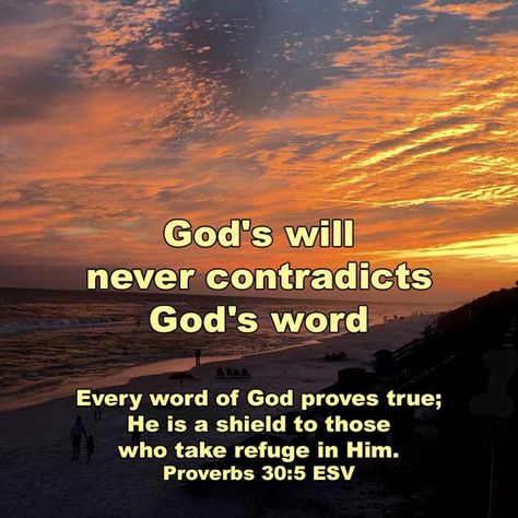 Gods Word Is True, Proverbs 30:5, Pin Inspiration, Proverbs 30, Biblical Scriptures, Words Mean Nothing, Spiritual Strength, Late 30s, Prayer Group