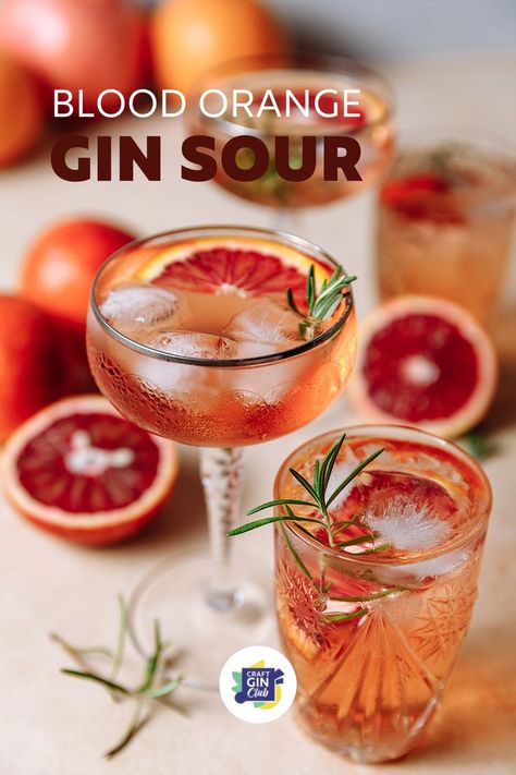 Gin Sour Recipe, Cocktail With Gin, Blood Orange Recipes, Easy Gin Cocktails, Blood Orange Cocktail, Easy Cocktail Recipe, Sour Drink, Flavoured Gin, Gin Sour