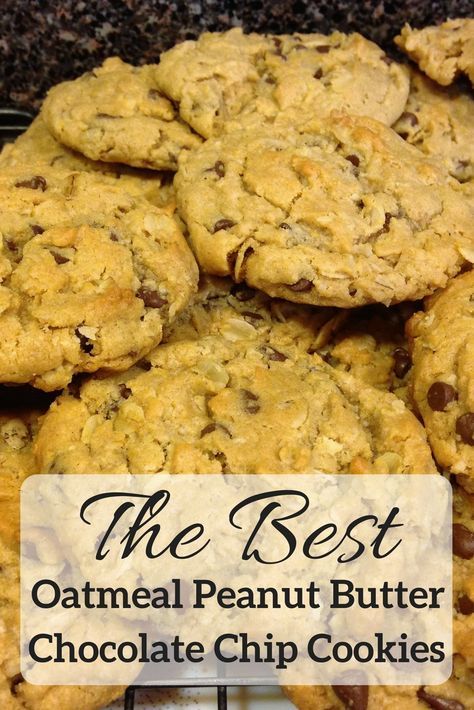 Oatmeal Peanut Butter Chocolate Chip Cookies, Peanut Butter Chocolate Chip Cookies Recipe, Oatmeal Peanut Butter Chocolate Chip, Health Cookies, Chocolatechip Cookies, Peanut Butter Oatmeal Chocolate Chip, Peanut Butter Oatmeal Chocolate Chip Cookies, Cookie Brownies, The Best Oatmeal