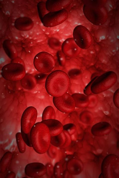 Red blood cells-range of red blood cells-food to maintain healthy red blood cells Red Blood, Wedding Makeup Bride, Medical Wallpaper, Red Blood Cells, Blood Art, Blood Cells, Instagram My Story, Blood Red, Medical Illustration