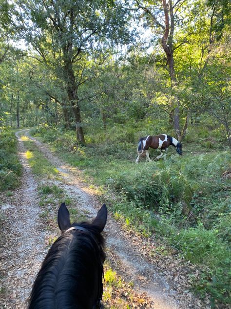 Ride out. Horse riding. Aesthetic. Countryside. Horse. Free. Aesthetic Countryside, Riding Aesthetic, Horse Riding Aesthetic, Countryside Living, Horse Galloping, Free Ride, Free Horses, Inspo Pics, Countryside House