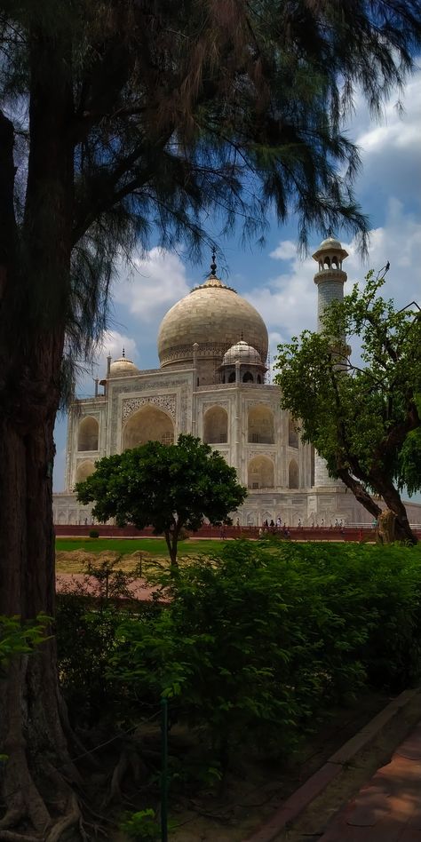 Tajmahal image with blue sky through  trees Sky Through Trees, Uttar Pradesh, Agra, Taj Mahal, Landscape Photography, Blue Sky, Trees, Photographer, Building