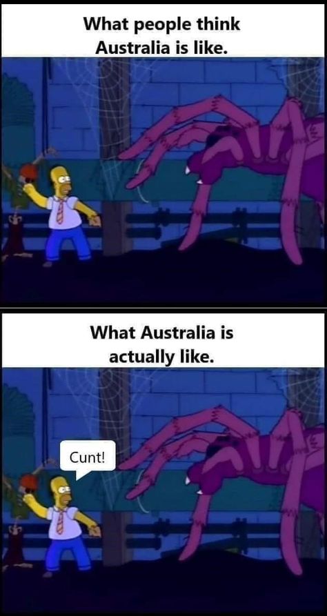 Australia Funny Humor, Funny Aussie, Australia Funny, Jokes Pics, Funniest Memes, Funny True Quotes, Some Funny Jokes, Internet Funny, Really Funny Pictures