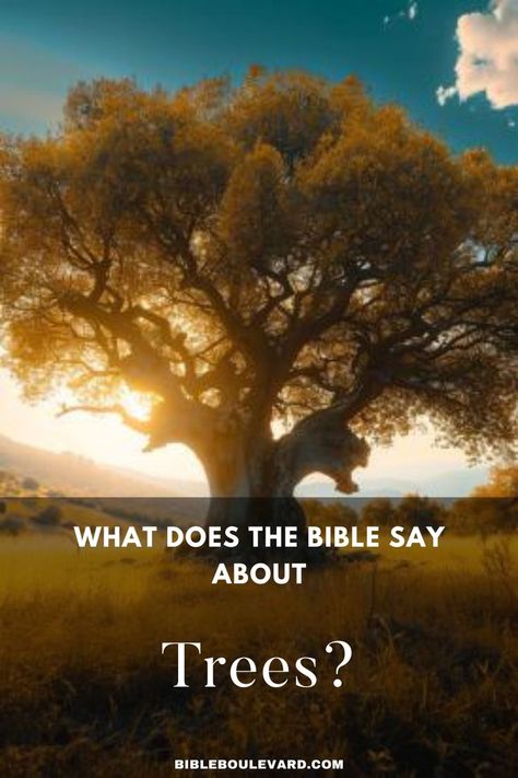 What Does the Bible Say About Trees? Bible Verse About Trees, Tree Sayings Quotes, Scripture About Trees, Tree Bible Verse, Sermons For Kids, Bible Meaning, Christian Preschool, Poplar Tree, About Trees